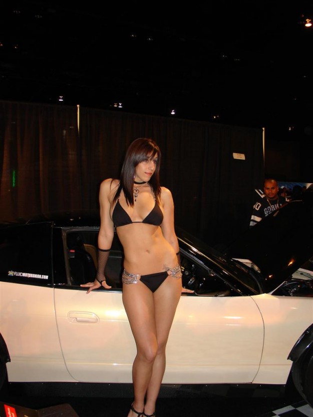 dsc03536-large
