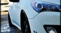 Genesis Update!